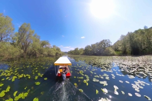 Virpazar: cruzeiro de lancha na selva amazônica