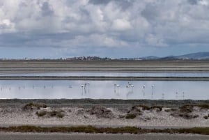 Safari og fuglekikking i Vjosa-Narta landskapsvernområde