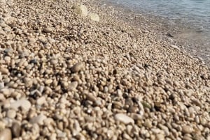 Vlora, Llogara & Dhërmi: Albanian Riviera from Durres/Golem