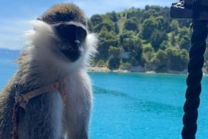 Vlora piratskipstur Sazan-øya og Karaburun