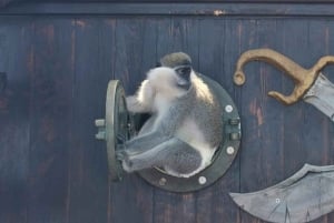 Vlora piratskipstur Sazan-øya og Karaburun