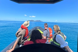 Vlora: Hurtigbåttur til Dafina-grotten og Haxhi Ali-grotten