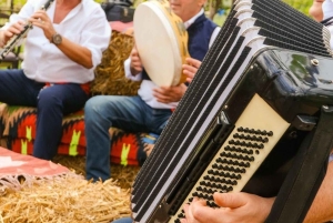 Vlore: excursión de 1 día a Berat con cata de vino
