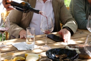 Vlore: excursión de 1 día a Berat con cata de vino