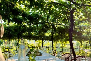 Vlore: excursión de 1 día a Berat con cata de vino