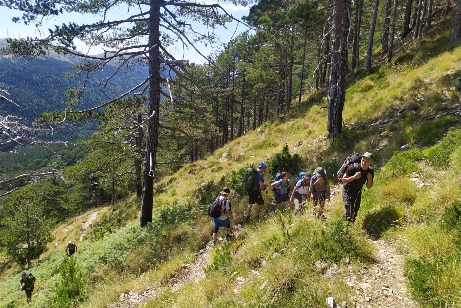 Vlore : Daily hiking at Qorre Peak, Llogara National Park