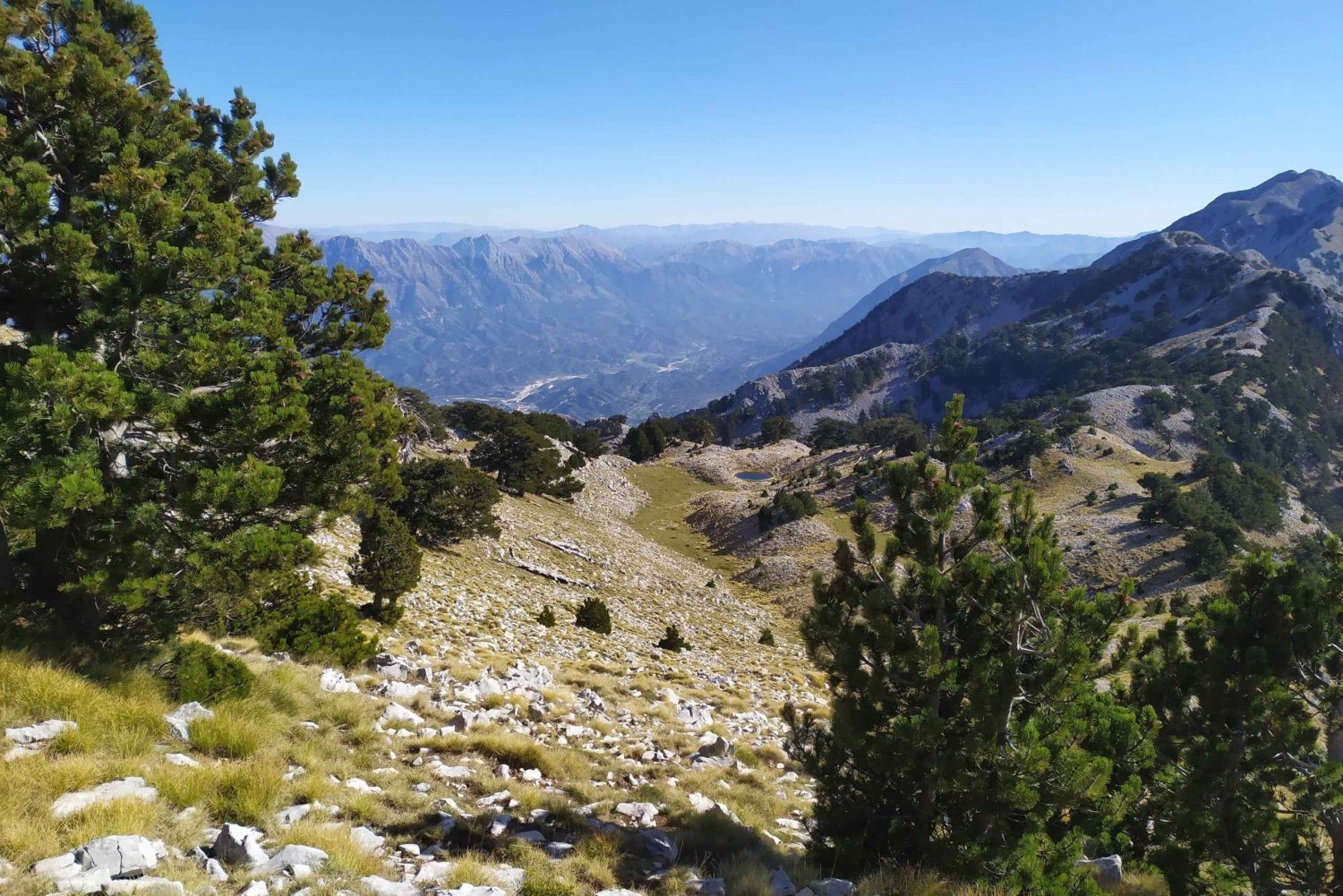 Vlore : Daily hiking at Qorre Peak, Llogara National Park