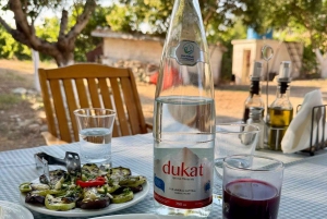 Vlore: Dukat Winery - Wine Tasting & Traditional Light Lunch