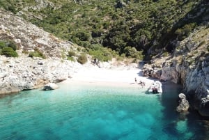 Vlore: speedboottocht Haxhi Ali-grot en Dafina-grot