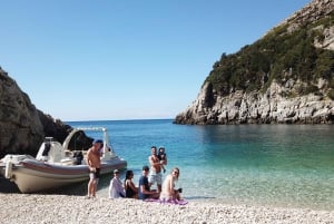 Vlore: speedboottocht Haxhi Ali-grot en Dafina-grot