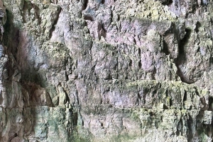 Vlora : grotte de Haxhi Ali, île de Sazan et péninsule de Karaburun