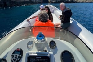 Udforsk Sazan-øen, Haxhi Ali-hulen og Karaburun med speedbåd