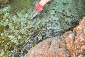 Vlore : Canyon de Nivica, Cascade de Peshtura et Pont de Brataj