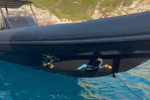 Vlore: Hyr en privat speedboat med skeppare