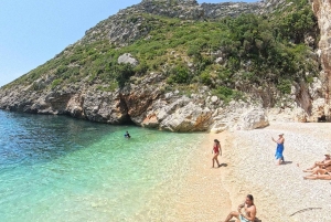 Vlore: Hyr en privat speedboat med skeppare