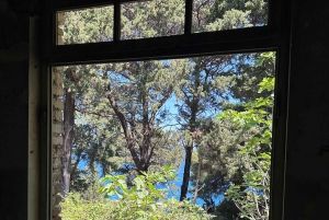 Valona: Tour privato in motoscafo al Parco Marino di Sazan-Karaburun