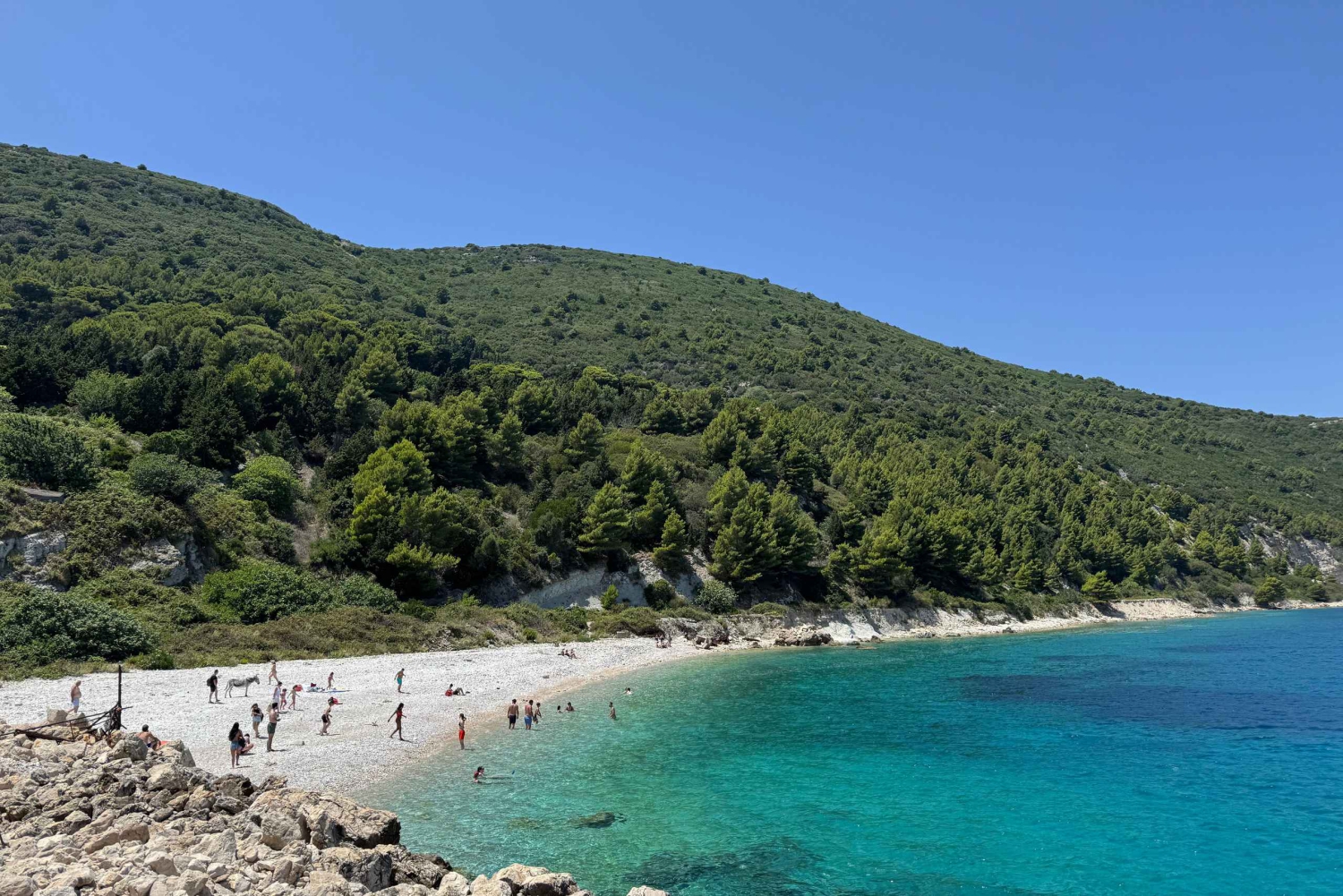 Vlore: Sazan Island, Haxhi Ali Cave & Karaburun by Speedboat