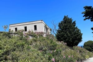 Vlore: Ali-luola pikaveneellä opastettu kierros