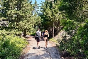 Vlore: Ali-luola pikaveneellä opastettu kierros