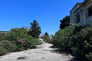 Vlore: Ali-luola pikaveneellä opastettu kierros