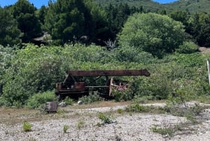 Vlore: Ali-luola pikaveneellä opastettu kierros