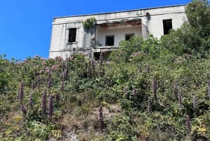 Vlore: Ali-luola pikaveneellä opastettu kierros