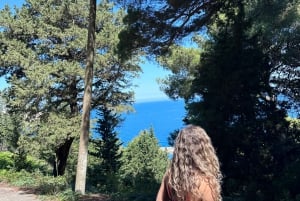 Vlore: Ali-luola pikaveneellä opastettu kierros