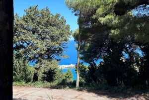 Vlore: Ali-luola pikaveneellä opastettu kierros