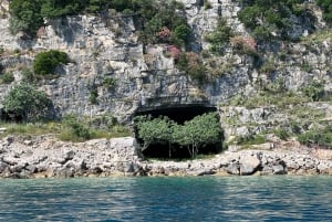 Vlore: Ali-luola pikaveneellä opastettu kierros