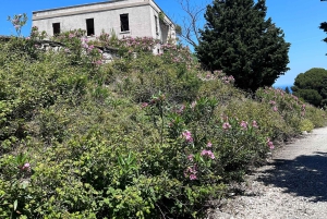 Vlore: Wyspa Sazan i jaskinia Haxhi Ali - wycieczka z przewodnikiem łodzią motorową