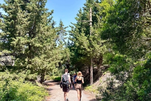 Vlore: Wyspa Sazan i jaskinia Haxhi Ali - wycieczka z przewodnikiem łodzią motorową