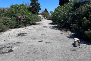 Vlore: Wyspa Sazan i jaskinia Haxhi Ali - wycieczka z przewodnikiem łodzią motorową