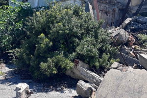 Vlore: Wyspa Sazan i jaskinia Haxhi Ali - wycieczka z przewodnikiem łodzią motorową