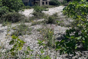 Vlore: Wyspa Sazan i jaskinia Haxhi Ali - wycieczka z przewodnikiem łodzią motorową