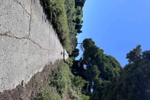 Vlore:Excursión en lancha rápida al Parque Nacional Marino de Sazan-Karaburun