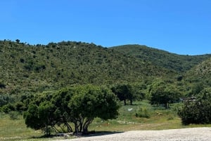 Valona: Punti salienti del Parco Nazionale Marino Sazan Karaburun
