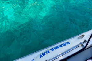 Влёра: тур на скоростном катере к тайной голубой пещере и бухте Грама