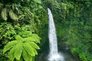 Fluisteringen van de natuur: Tomorri's Pieken & Watervallen Avontuur