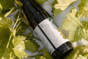 Dégustation de vins à la cave Alpeta