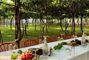 Dégustation de vins à la cave Alpeta