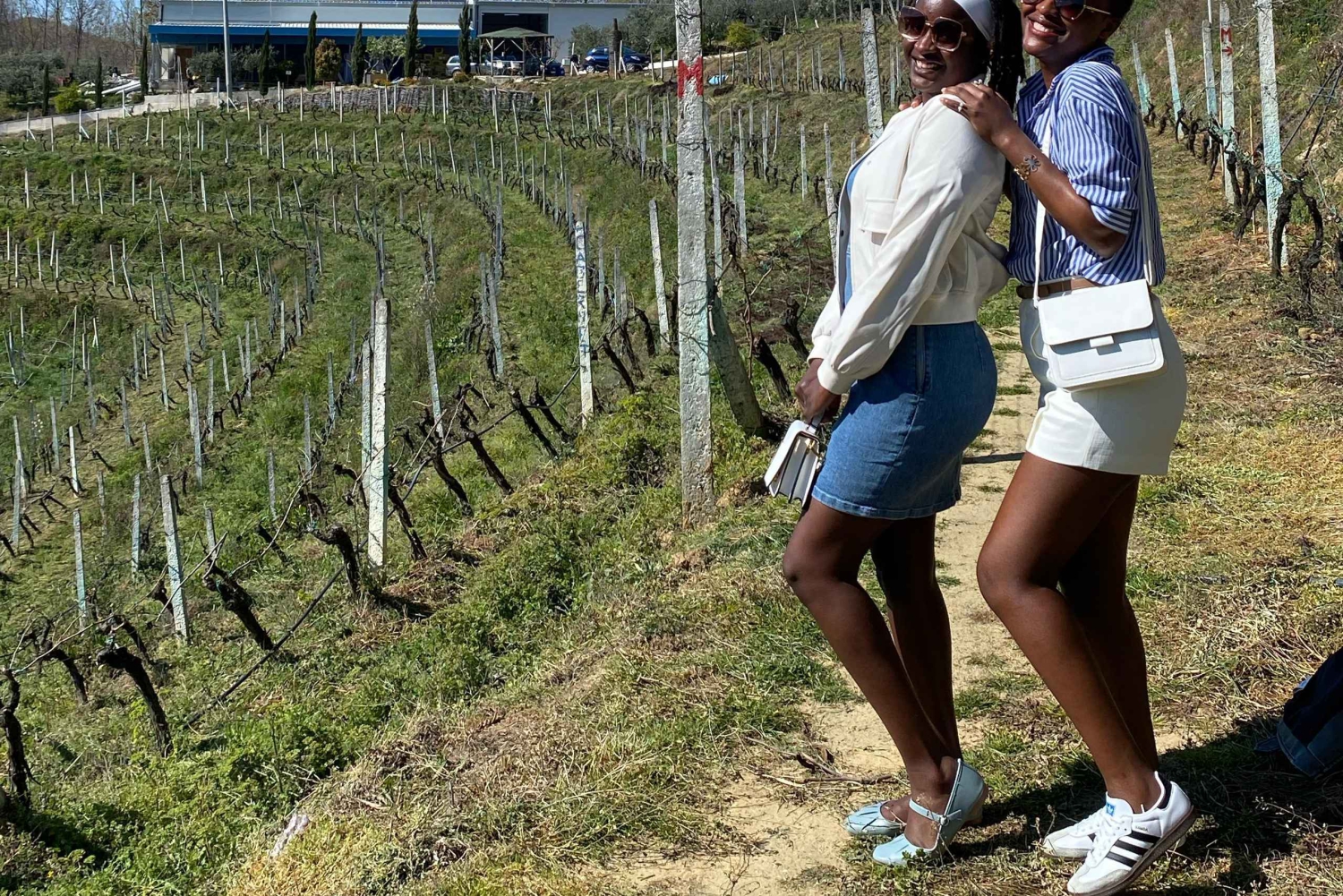 Тур с дегустацией вин, дополнительная экскурсия по винному двору и катание на каяках