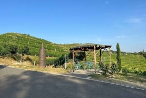 Wine tasting tour, Optional wine yard tour and kayak rides