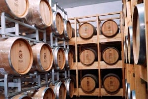 Excursión de degustación de vinos, Excursión opcional por los viñedos y paseos en kayak