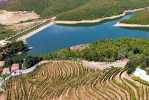 Excursión de degustación de vinos, Excursión opcional por los viñedos y paseos en kayak