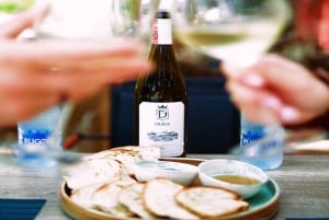 Excursión de degustación de vinos, Excursión opcional por los viñedos y paseos en kayak