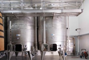 Excursión de degustación de vinos, Excursión opcional por los viñedos y paseos en kayak