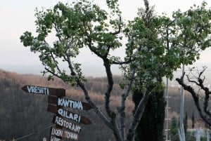 Excursión de degustación de vinos, Excursión opcional por los viñedos y paseos en kayak