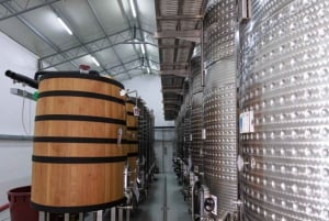 Excursión de degustación de vinos, Excursión opcional por los viñedos y paseos en kayak