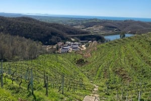 Excursión de degustación de vinos, Excursión opcional por los viñedos y paseos en kayak