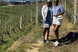 Excursión de degustación de vinos, Excursión opcional por los viñedos y paseos en kayak